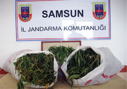21 kilo esrar yakalandı