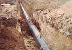 Rusya, Samsun'u askıya aldı