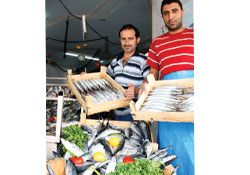 Balıkçılar ağları dolu dönüyor