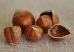 Fındık için tasarım yarışması