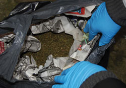 Eş zamanlı operasyon: 24 gözaltı