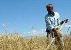 Çiftçi borçları erteleniyor