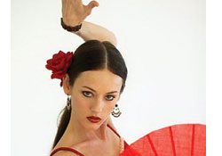 TSO'dan Flamenko gecesi