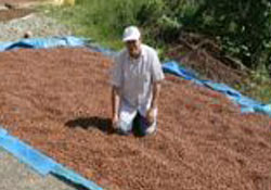 Fındığın fiyatını üreticilerin belirlesin