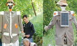 Çareyi "Ayısavarda" buldular