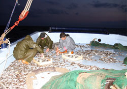 Fakirin yüzü gülecek