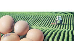 Yurtdışında üret, gümrüksüz getir