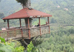 Karadenizli'nin kıvrak zekası