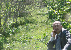 Fındık bahçelerini don vurdu