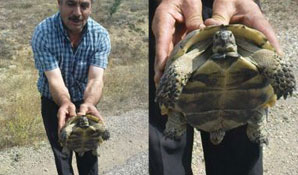 İlk kez kaplumbağa görüntülendi