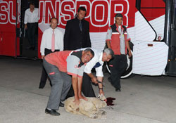 Kurban kesmek gelenek hale geldi