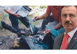 Yazıcıoğlu soruşturmasında kritik adım