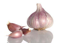 Taşköprülü sarımsak üreticisinin Çin tohumuyla başı dertte!