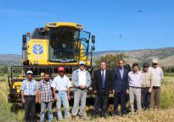 Pirinç hasadı başladı