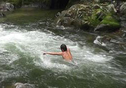 Survivor değil Lazvivor