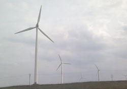 İlkadım'a Çin modeli aydınlatma