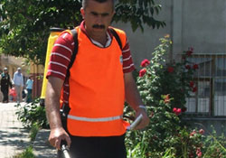 Gazi'de kene ilaçlaması