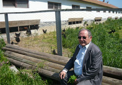 Türkiyenin en büyük organik yumurta çiftliği