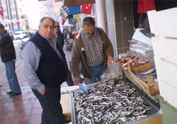 Hamsi fiyatları da güncellendi!