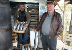 Yakakent' de torik bereketi