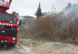 Arazilerde kış temizliği