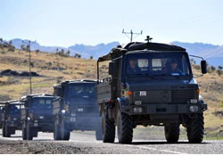 49 hain öldürüldü