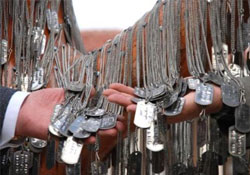 'Şehit ağacında' künye asacak yer kalmadı