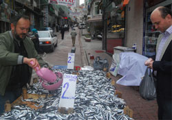 Hamsinin fiyatı 2 TL'ye indi