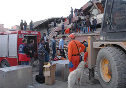 Canik şevkat elini uzattı