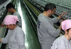 2012'de asgari ücret 51 lira artacak2012'de asgari ücret 51 lira artacak