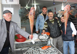 Kırlangıç tezgâhları süsledi