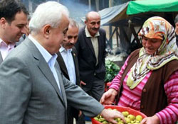 FİLİSTİN BENZETMESİ