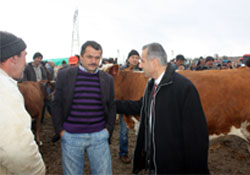 Pazarlara sıkı denetim
