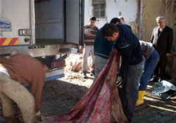 THK topladığı kurban derilerini sattı