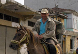 Canik atlarına genetik araştırma