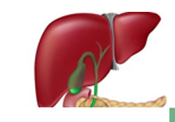 Hasar gören organ iyileştirildi