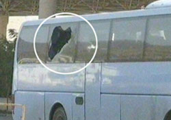 Türk hacılara kurşun yağdırdılar