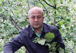 Fırtına fındığa zarar verdi