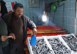 Hamsi ucuzladı ama vatandaş tereddütte
