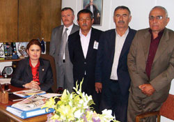 'Küresel ısınma Tokat'ı teklimez'