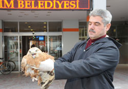 Yaralı doğana şefkat eli