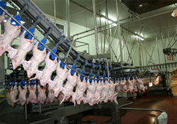 Beyaz 'in', kırmızı 'out'