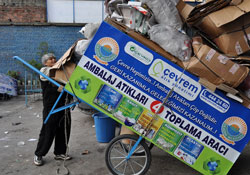 Başıboş temizliğe paydos!