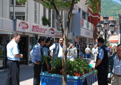 Zabıta göz açtırmıyor
