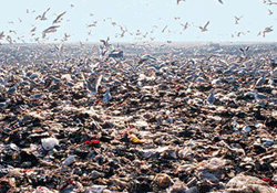 Milli servetimizin dörtte 1ini çöpe atıyoruz