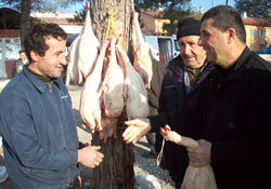 Yılbaşı öncesi kaz pazarı kuruldu