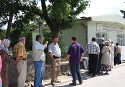 Karaborsacılar pirince de el attı