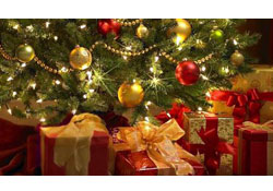 Vatandaş yılbaşını evde karşılayacak