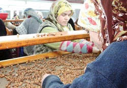 TMO'nun fındık satışına tepki