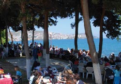 AK Parti'li kadınlardan yardım çayı